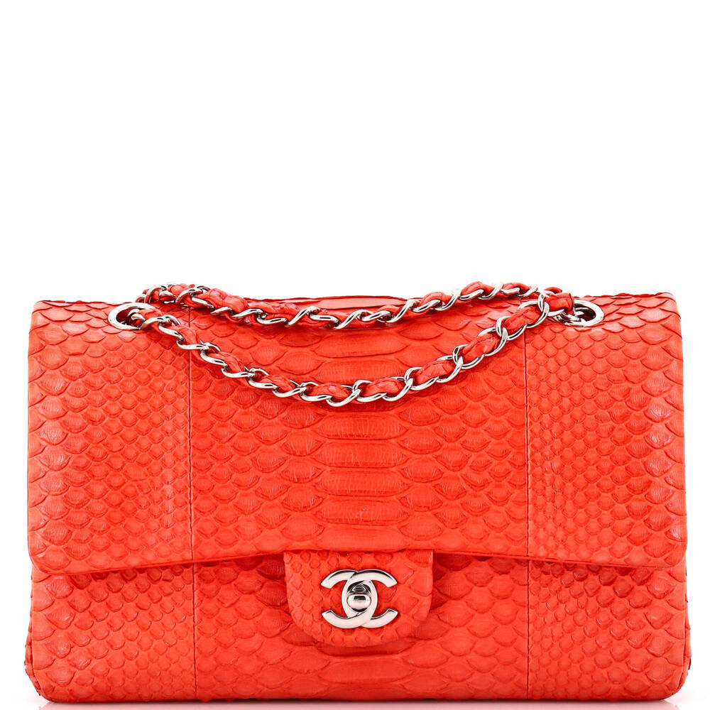 Chanel Classic Double Flap Bag Python #222847C43B - image 1